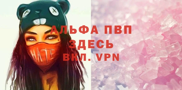 прущие грибы Аркадак