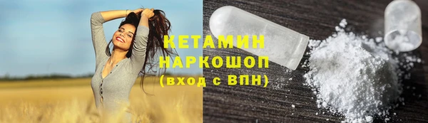 гашик Няндома