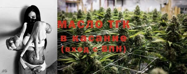 ешки Новодвинск