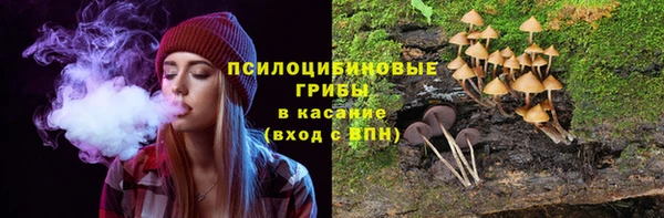 прущие грибы Аркадак