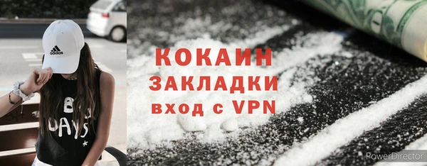 дживик Арсеньев