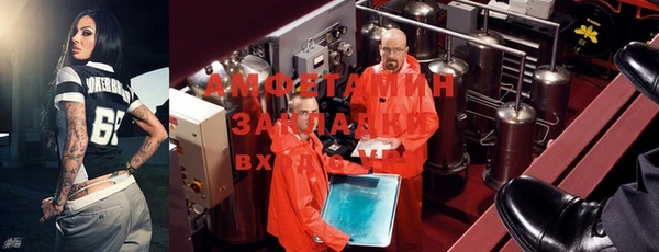прущие грибы Аркадак