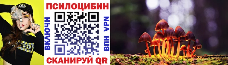 купить закладку  Приморско-Ахтарск  Галлюциногенные грибы Psilocybine cubensis 